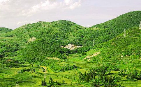 �����еĳɼ���һ����ɽ��������