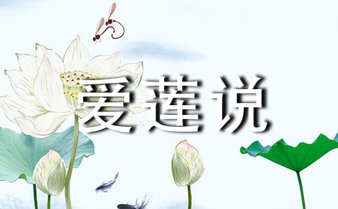 ����˵����300����ƪ