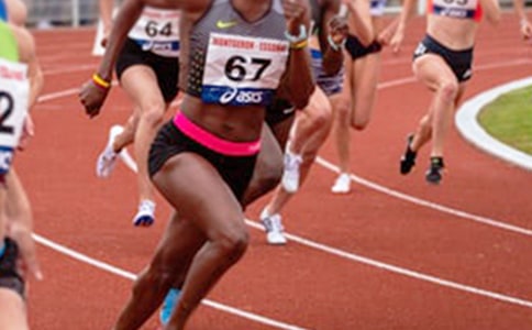 2008����˻�Сѧ����15ƪ