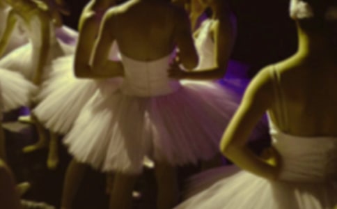 СӢ�ۺͰ��ٹ��������