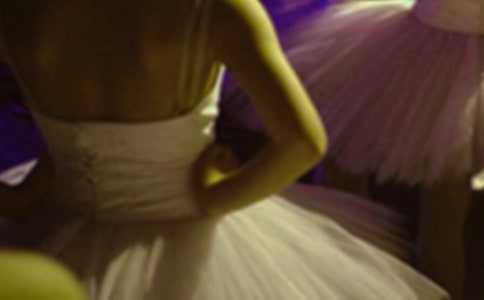 ��СӢ�ۺͰ��ٹ����������15ƪ