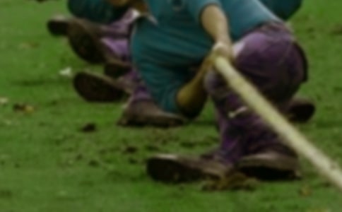 ʵ�õĶ��꼶�κ�����300��4ƪ