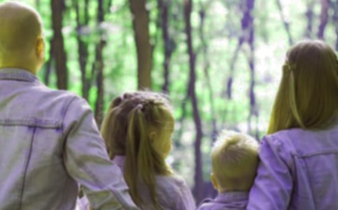 爸妈作文500字10篇