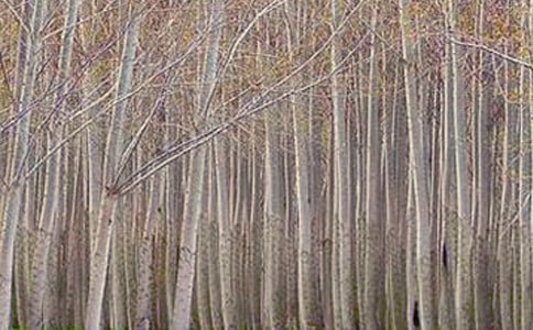 ���Ƽ�����������400����ƪ