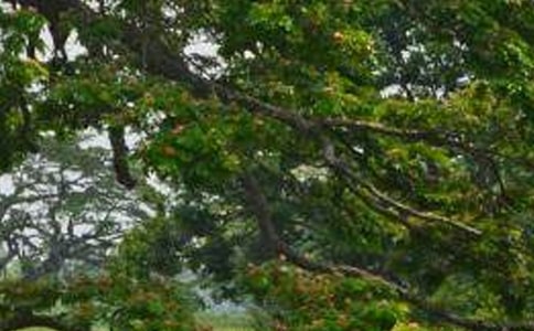 ��ѡ���������600��4ƪ