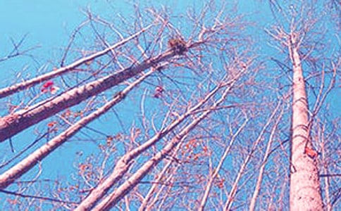 ���ر������������600��3ƪ