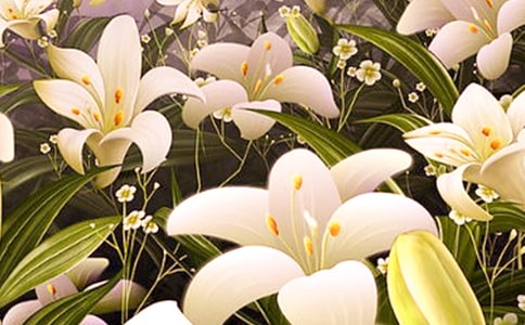 �����İٺϻ�����5ƪ