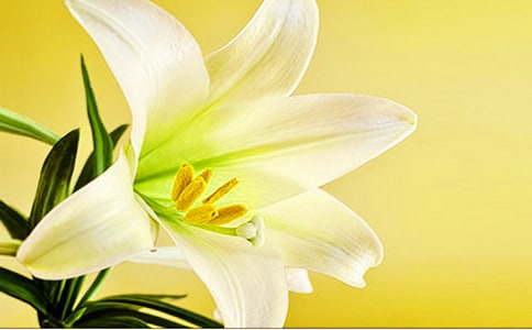 �ٺϻ�����450�֣���ѡ7ƪ��