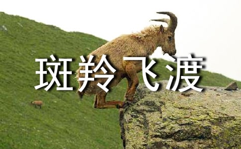 读《斑羚飞渡》有感集合(15篇)