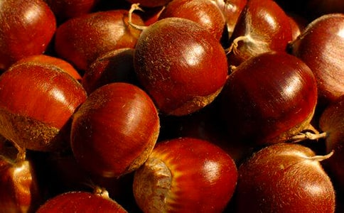 ��������500��10ƪ����ѡ��