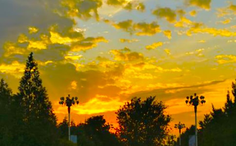 乡村傍晚的作文300字九篇