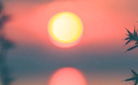 ʵ�õİ�������600��4ƪ