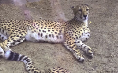 ��������500��5ƪ