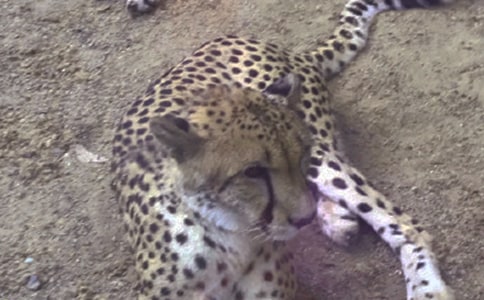 ʵ�õı�������500����ƪ