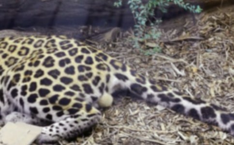 ���ڱ�������500����ƪ