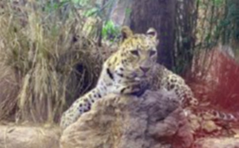 (��Ʒ)��������500��5ƪ