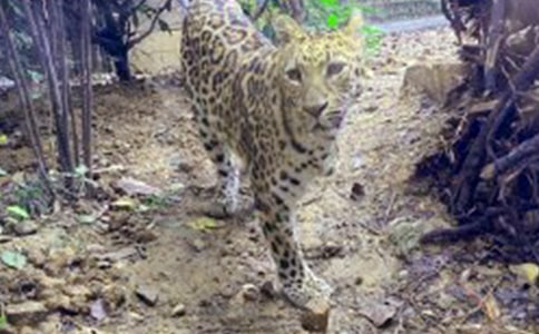 ��������500�ֺϼ�6ƪ