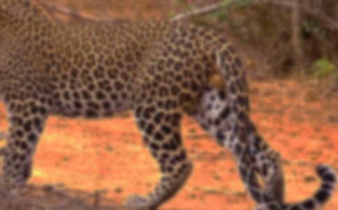 ��������500����ƪ