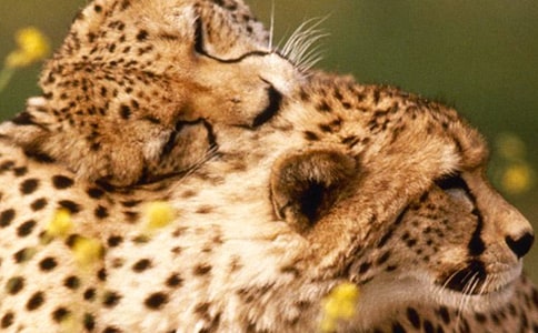 ��������500��3ƪ