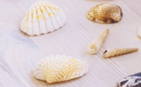 �йر��ǵĳ�������