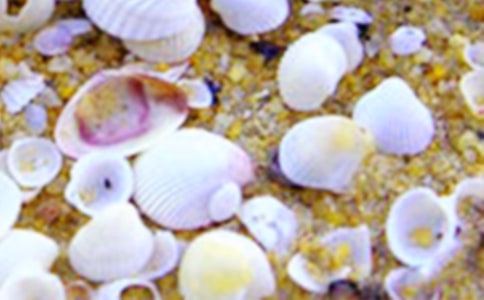 250�ֹ��ڱ��ǵ������Ƽ�