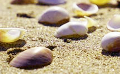 ����������������300����ƪ