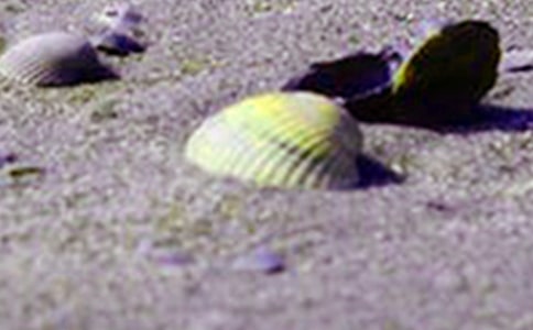 ��������300��3ƪ