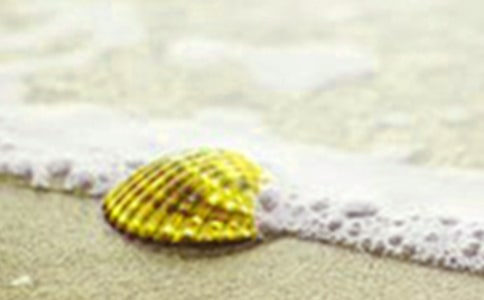 ��ѡ�񱴿�����300����ƪ