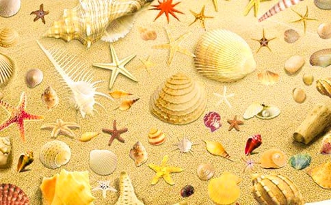 ���ڱ�������300��4ƪ