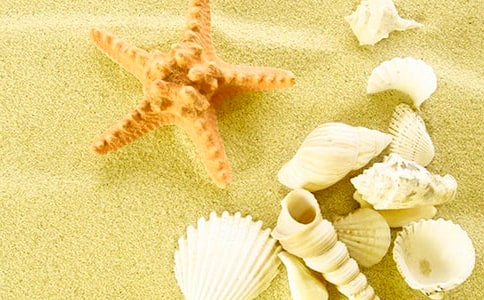 ���ǻ�������(����15ƪ)