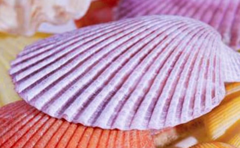 贝壳作文300字三篇