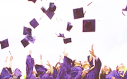 ����ѡ�����꼶��ҵ������ƪ