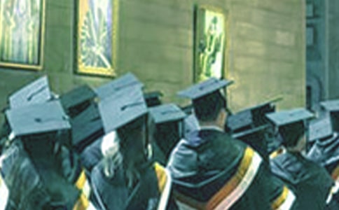 ������ҵ���ĺϼ���ƪ