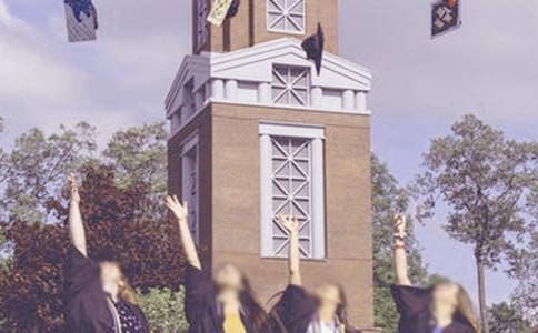 ��ҵ��������300����ƪ