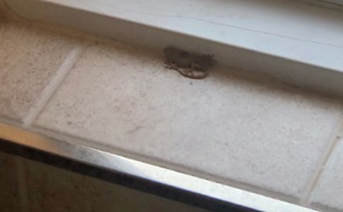 �йرڻ�����500��ʮƪ