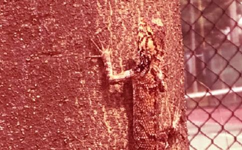 �ڻ�����500�֣�����8ƪ��