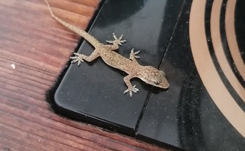 �ڻ�����ʾ����400��