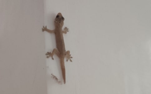 �ڻ���β������300��4ƪ