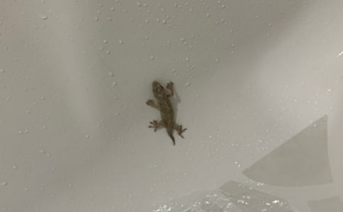 �ڻ�����500��