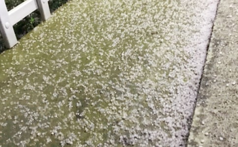 �������� ������������