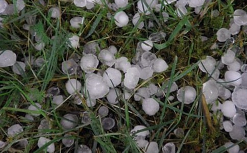 ����Сѧ����