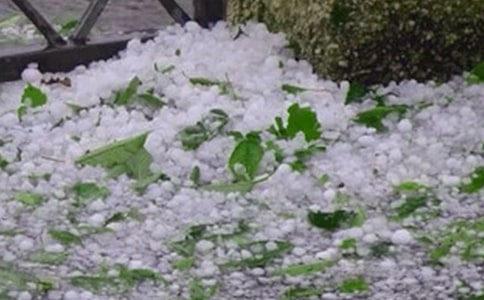 ���ڱ�������300�֣���ѡ30ƪ��