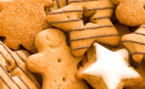 ������Сѧ����14ƪ