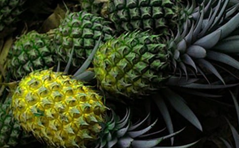 ��������400��