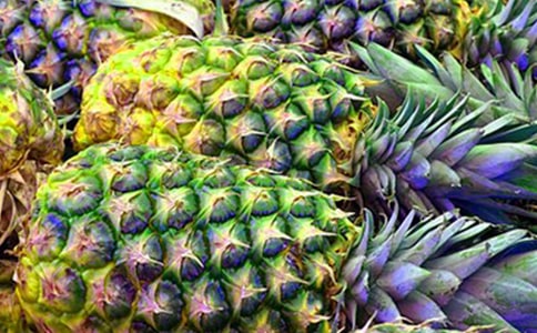 【必备】菠萝作文300字三篇