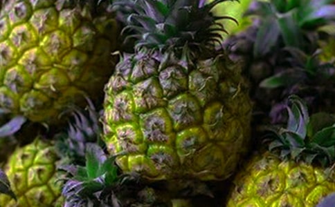 菠萝作文300字合集9篇