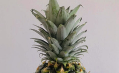 ����ѡ���Բ�������300��3ƪ