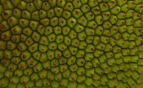 ���������ģ���ѡ37ƪ��