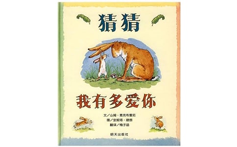 猜猜我有多爱你读后感(合集15篇)