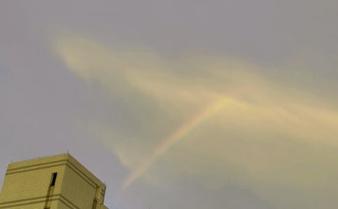 ���������ʺ������600��